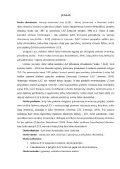 Laisvosios ekonomikos zonos Lietuvoje 3 puslapis