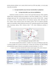 Laisvosios ekonomikos zonos Lietuvoje 6 puslapis