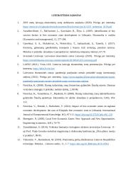 Laisvosios ekonomikos zonos Lietuvoje 10 puslapis