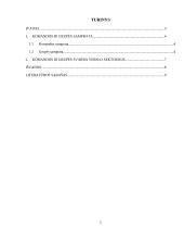 Komandos/grupės svarba šiuolaikiniame verslo sektoriuje 2 puslapis