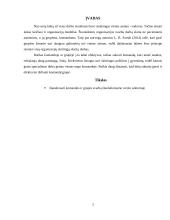 Komandos/grupės svarba šiuolaikiniame verslo sektoriuje 3 puslapis