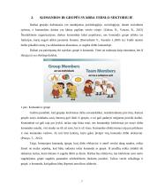 Komandos/grupės svarba šiuolaikiniame verslo sektoriuje 7 puslapis