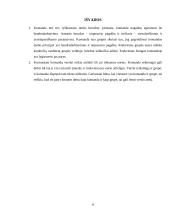 Komandos/grupės svarba šiuolaikiniame verslo sektoriuje 8 puslapis