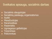 Lietuvos ūkio šakos 11 puslapis