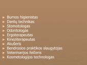 Lietuvos ūkio šakos 12 puslapis