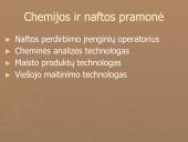 Lietuvos ūkio šakos 17 puslapis