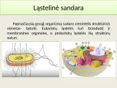 Gyvų organizmų struktūra ir savybės 4 puslapis
