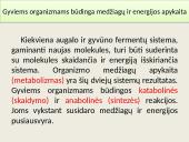 Gyvų organizmų struktūra ir savybės 5 puslapis