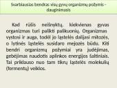 Gyvų organizmų struktūra ir savybės 7 puslapis