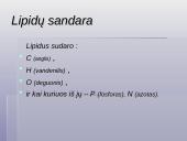 Lipidai, jų sandara ir pagrindinės grupės 2 puslapis