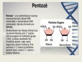 Nukleorūgštys - DNR ir RNR 5 puslapis