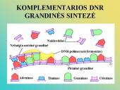 Nukleorūgštys - DNR ir RNR 9 puslapis