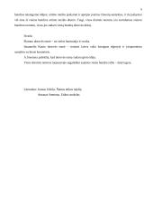 Dorovės esmė 4 puslapis