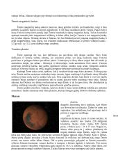 Pagrindinės astronomijos temos 16 puslapis