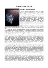 Pagrindinės astronomijos temos 7 puslapis
