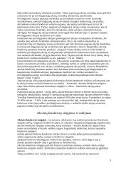 Akcinė bendrovė ir jos principai 3 puslapis