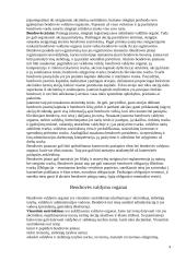 Akcinė bendrovė ir jos principai 4 puslapis