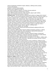 Akcinė bendrovė ir jos principai 5 puslapis