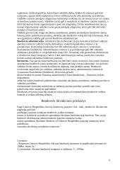 Akcinė bendrovė ir jos principai 6 puslapis