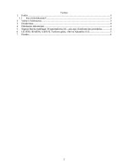 Kas yra holokaustas? 2 puslapis