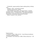 Antano Vaičiulaičio charakterio ir kūrybos bruožai 3 puslapis