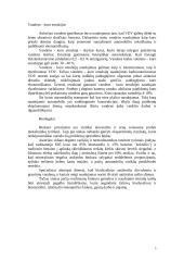 Alternatyvus kuras 5 puslapis