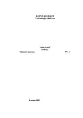 "Jobo drama" refleksija 2 puslapis