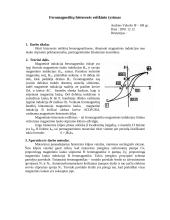 Feromagnetikų histerezės reiškinys