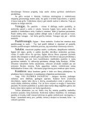 Mitai apie plėšriuosius paukščius 12 puslapis