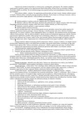 Išsamus vadybos pasiruošimas egzaminui 2 puslapis