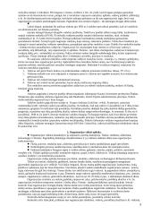 Išsamus vadybos pasiruošimas egzaminui 3 puslapis