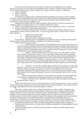 Išsamus vadybos pasiruošimas egzaminui 4 puslapis