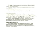 Lietuvių dvasinės kultūros raida 2 puslapis