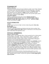 Materialinės kultūros raida 2 puslapis