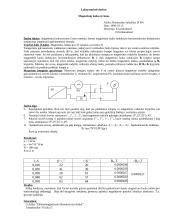 Magnetinių laukų tyrimas Gauso metodu 2 puslapis