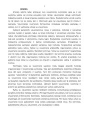 Ryšiai su visuomene – teoriniu aspektu 3 puslapis