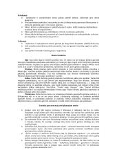 Meniu planavimas ir meniu tipai 3 puslapis