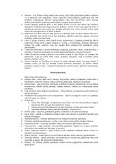 Meniu planavimas ir meniu tipai 4 puslapis