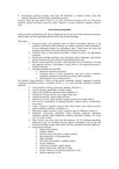 Meniu planavimas ir meniu tipai 6 puslapis
