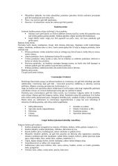 Meniu planavimas ir meniu tipai 9 puslapis