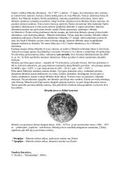 Mėnulis - astronomija 2 puslapis