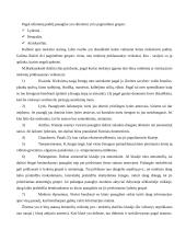 Mokinių pasiskirstymas pagal statusą 2 puslapis