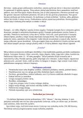 Narkotikai ir jų poveikis 2 puslapis