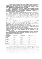 Nedarbas ir jo išraiška ekonomikoje 2 puslapis