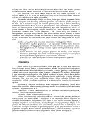 Nedarbas ir jo išraiška ekonomikoje 7 puslapis