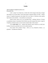 Vadovo darbo laiko biudžetas 2 puslapis