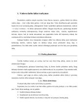 Vadovo darbo laiko biudžetas 3 puslapis