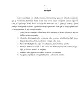 Vadovo darbo laiko biudžetas 9 puslapis