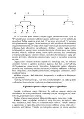 Produkto gaminio veiklos organizavimas 11 puslapis