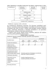 Produkto gaminio veiklos organizavimas 12 puslapis